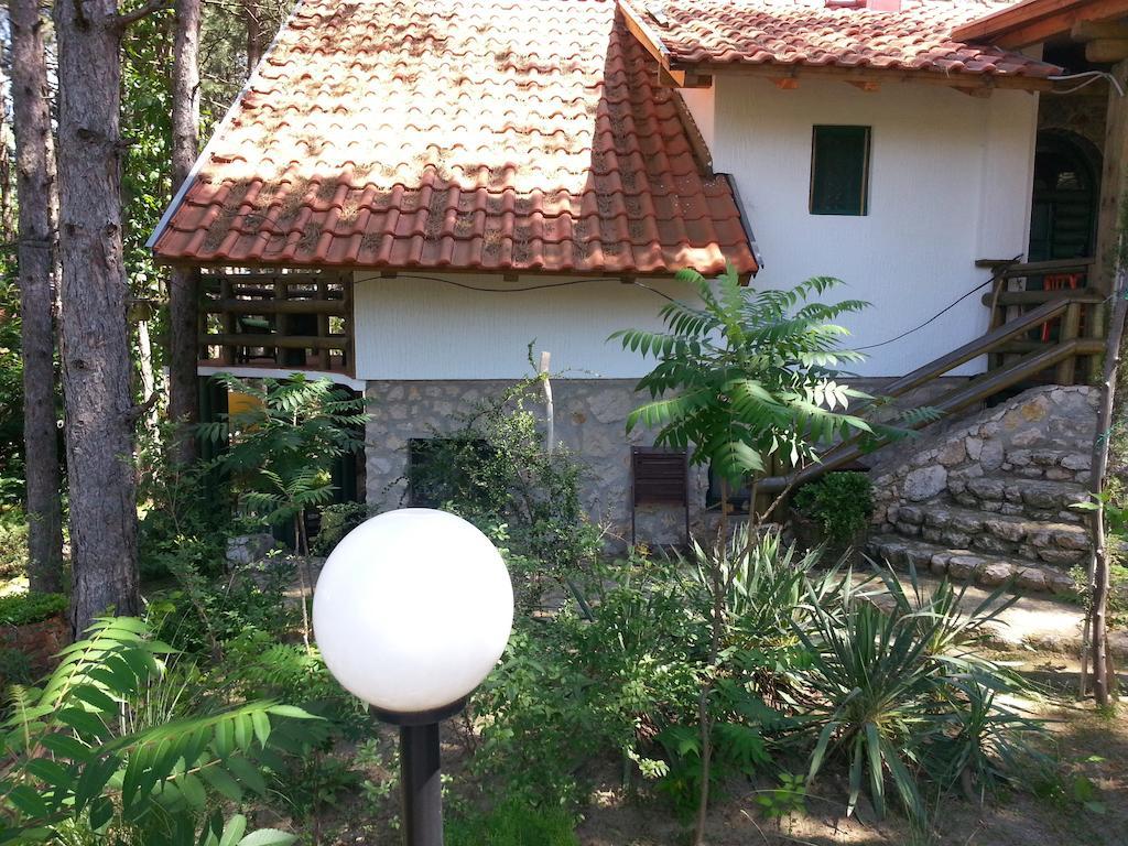 Guesthouse Bajka Vinci ภายนอก รูปภาพ